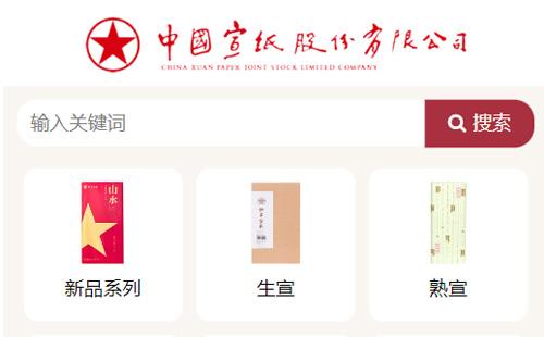 自貢黑羽網(wǎng)絡(luò)案例紅星宣紙